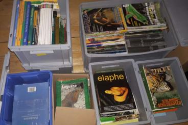 Books & Magazines kaufen und verkaufen Photo: Draco Reptilia Terraria diverse Bücher