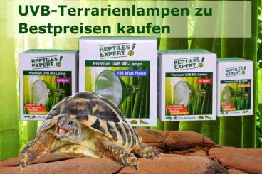 Zubehör kaufen und verkaufen Foto: UV-Terrarien-Lampen zum Bestpreis von Reptiles Expert