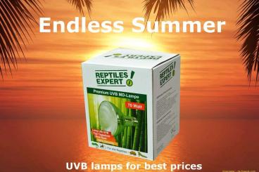 Zubehör kaufen und verkaufen Foto: Best UVB lamps from Reptiles Expert!