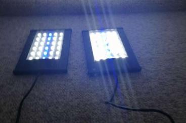 Zubehör kaufen und verkaufen Foto: Reptizoo LED Terrarien Beleuchtung