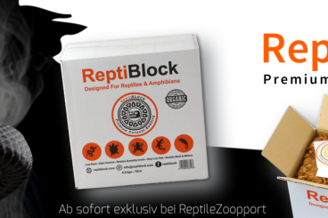 Supplies kaufen und verkaufen Photo:  !!! Angebot - ReptiBlock etc. - 25% OFF !!!