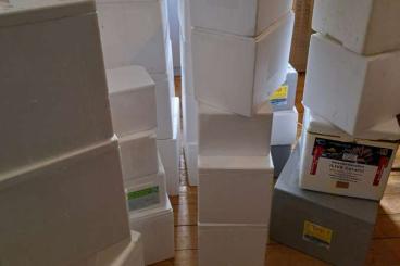 Supplies kaufen und verkaufen Photo: 40 Styroporboxen teilweise mit Karton