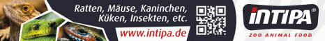 Banner intipa GmbH