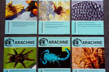 Books & Magazines kaufen und verkaufen Photo: 6x Arachne, DeArGe, 19.Jahrgang (2014) Rar!