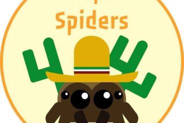 Spinnen und Skorpione kaufen und verkaufen Foto: Houten 09.04.2023 LIST SLINGS
