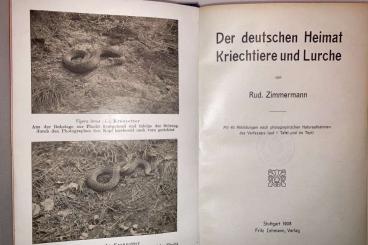 Books & Magazines kaufen und verkaufen Photo: Zimmermann 1908 Lurche Kriechtiere Deutschlands