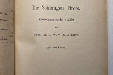 Books & Magazines kaufen und verkaufen Photo: Dalla Torre Die Schlangen Tirols 1912.