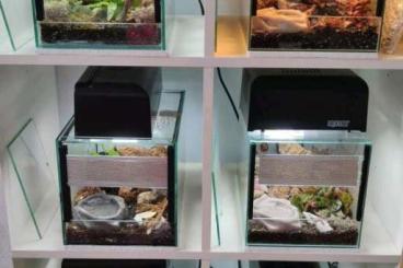 Enclosures kaufen und verkaufen Photo: Terrarien 20x30x20 cm mit doppelter Lüftung