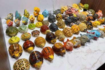 Echsen  kaufen und verkaufen Foto: Reptile Sculptures Available in Hamm!