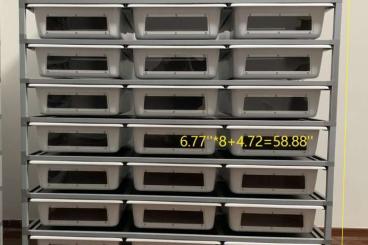 Enclosures kaufen und verkaufen Photo: Suche Boa racks für hamm groß und klein Enclosures kaufen und verkaufen Photo: Suche Boa racks für hamm groß und klein