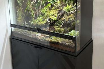 Terrarien kaufen und verkaufen Foto: Terrarium Exo Terra 90x45x60, Dendrobaten, Tropenterrarium