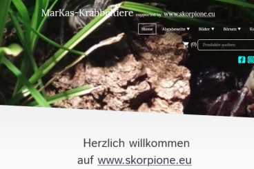 Scorpions kaufen und verkaufen Photo: Übergabe in Hamm Terraristika 03.2025 möglich