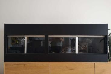 Enclosures kaufen und verkaufen Photo: Kunststoffterrarium mit zwei Abteilen Enclosures kaufen und verkaufen Photo: Kunststoffterrarium mit zwei Abteilen