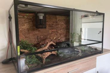 Terrarien kaufen und verkaufen Foto: Glas-Terrarium 120x45x60 mit viel Zubehör