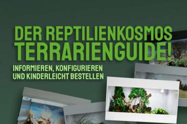 Terrarien kaufen und verkaufen Foto: Reptilienkosmos Terrarienguide 