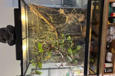 Terrarien kaufen und verkaufen Foto: Exo Terra Terrarium 90x45x90 cm + Lampe