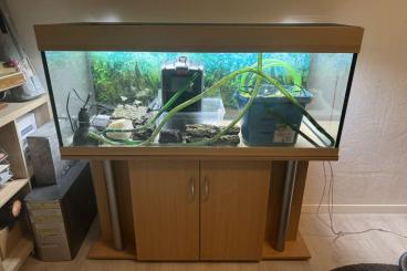 Supplies kaufen und verkaufen Photo: Komplettes Aquarium-Set für Wasserschildkröten oder Fische – Sofort ei