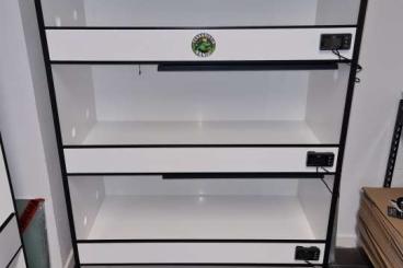 Bartagamen kaufen und verkaufen Foto:  -20% auf alle Kunststoff Terrarien und Terrarium Racks 