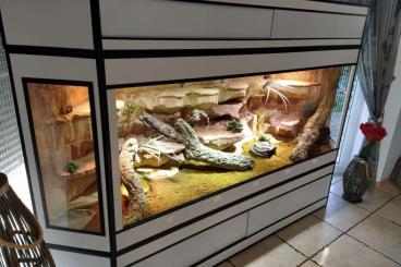 Enclosures kaufen und verkaufen Photo: -20% auf Premium Kunststoff Terrarien und Terrarium Racks