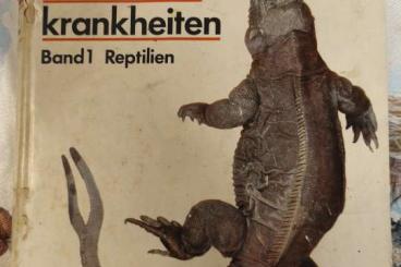 Books & Magazines kaufen und verkaufen Photo: Handbuch Zootierkrankheiten,Reptilien