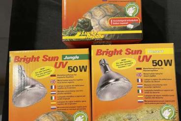 Supplies kaufen und verkaufen Photo: Lucky Reptile Bright Sun 50 und 70 W