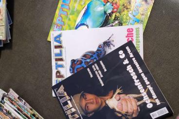 Books & Magazines kaufen und verkaufen Photo: 50 x "Reptilia" Zeitschrift 