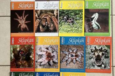 Spinnen und Skorpione kaufen und verkaufen Foto: Journal Sklípkan - for invertebrates keepers and breeders