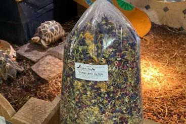 Sonstiges kaufen und verkaufen Foto: Terrauga's Blüten-Mix 500g für pflanzenfressende Reptilien!