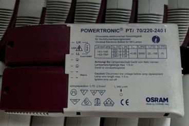 Echsen  kaufen und verkaufen Foto: Universelles elektronisches Vorschaltgerät Osram 70 watt 