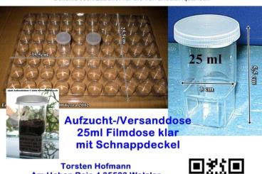 Spiders and Scorpions kaufen und verkaufen Photo: THTerra 25ml Aufzuchtdosen Slingdosen