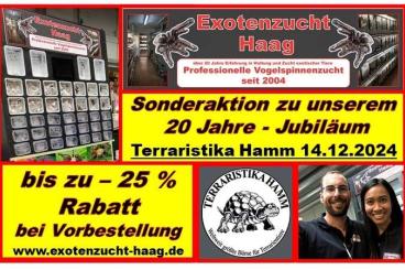 Spiders and Scorpions kaufen und verkaufen Photo: Vorbestellung / preorder Terraristika Hamm 14.12.24  **bis zu - 25 %**