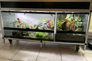 Terrarien kaufen und verkaufen Foto: 1x Terrariumanlage, Alu - Stecksystem