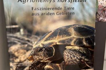 Schildkröten  kaufen und verkaufen Foto: Agrionemys Bücher / Russische Landschildkröte