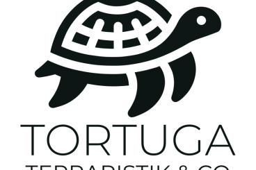 Other kaufen und verkaufen Photo: Tortuga Terraristik & Co Ihr Fachgeschäft in Saarbrücken Other kaufen und verkaufen Photo: Tortuga Terraristik & Co Ihr Fachgeschäft in Saarbrücken