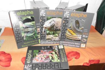 Books & Magazines kaufen und verkaufen Photo: "Terraria / elaphe", herpetologische Fachzeitschrift