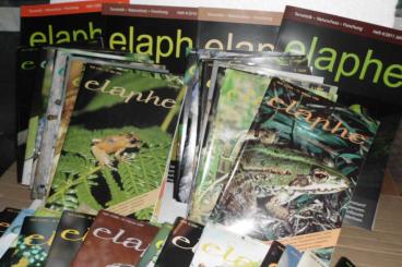 Books & Magazines kaufen und verkaufen Photo: "elaphe", Zeitschrift für Terraristik, Naturschutz und Forschung
