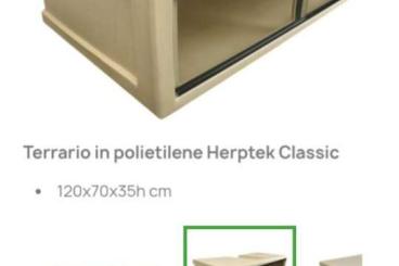 Terrarien kaufen und verkaufen Foto: Herptek 120 x70 x 35 used