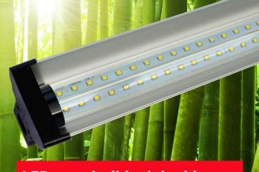 Zubehör kaufen und verkaufen Foto: LED Vollspektrum-Leuchtbalken zu Bestpreisen für dein Terrarium