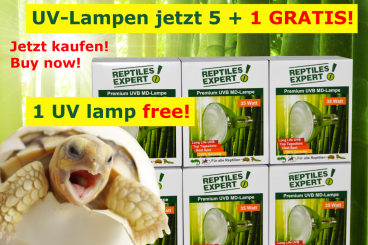 Supplies kaufen und verkaufen Photo: Noch bis Ende Mai: UVB-Lampen 5+1 GRATIS Aktion