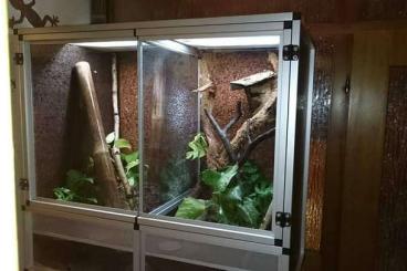 Enclosures kaufen und verkaufen Photo: Alusteck Terrarien in verschiedenen Größen