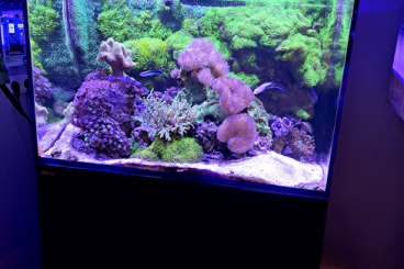 Aquarien kaufen und verkaufen Foto: Red Sea Max E260 schwarz inkl. Technikbecken