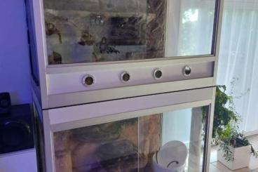 Enclosures kaufen und verkaufen Photo: Premium Terrarium Kombination Wohnzimmer Terraristik NP > 10.000€