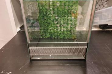 Enclosures kaufen und verkaufen Photo: 2x 30x30x30 Falltürterrarium/Spinnenwürfel (+herausnehmbarer Rückwand)