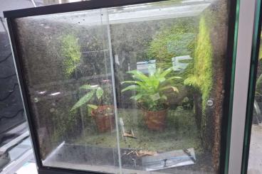 Zubehör kaufen und verkaufen Foto: Biete Terrarien und LED (Skylight Tiby)