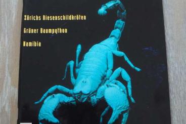 Scorpions kaufen und verkaufen Photo: Verschiedene Bücher über Skorpione