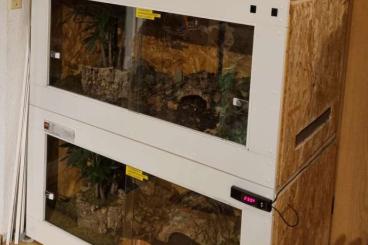 Terrarien kaufen und verkaufen Foto: Zwei OSB Terrarien 120x60x60 (LxBxH)