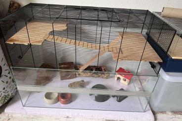 Supplies kaufen und verkaufen Photo: Mäuse/Ratten/Hamsterkäfig