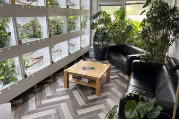 Terrarien kaufen und verkaufen Foto: 15 Kunststoffterrarien von Boa-Tempel 90x70x70