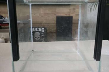 Enclosures kaufen und verkaufen Photo: Glasterrarium 20x20x20 Falltür Enclosures kaufen und verkaufen Photo: Glasterrarium 20x20x20 Falltür