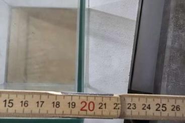 Enclosures kaufen und verkaufen Photo: Falltür terrarium glas 20x30 Enclosures kaufen und verkaufen Photo: Falltür terrarium glas 20x30